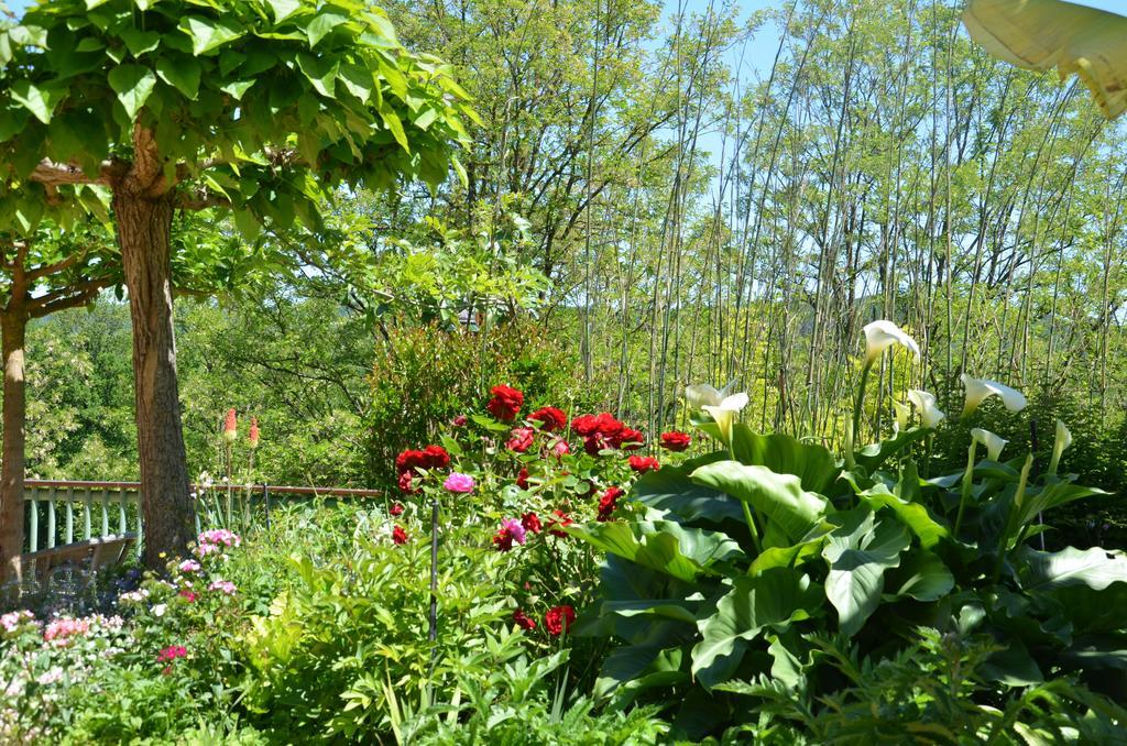 Cénac-et-Saint-Julien La Gueriniere Bed & Breakfast エクステリア 写真