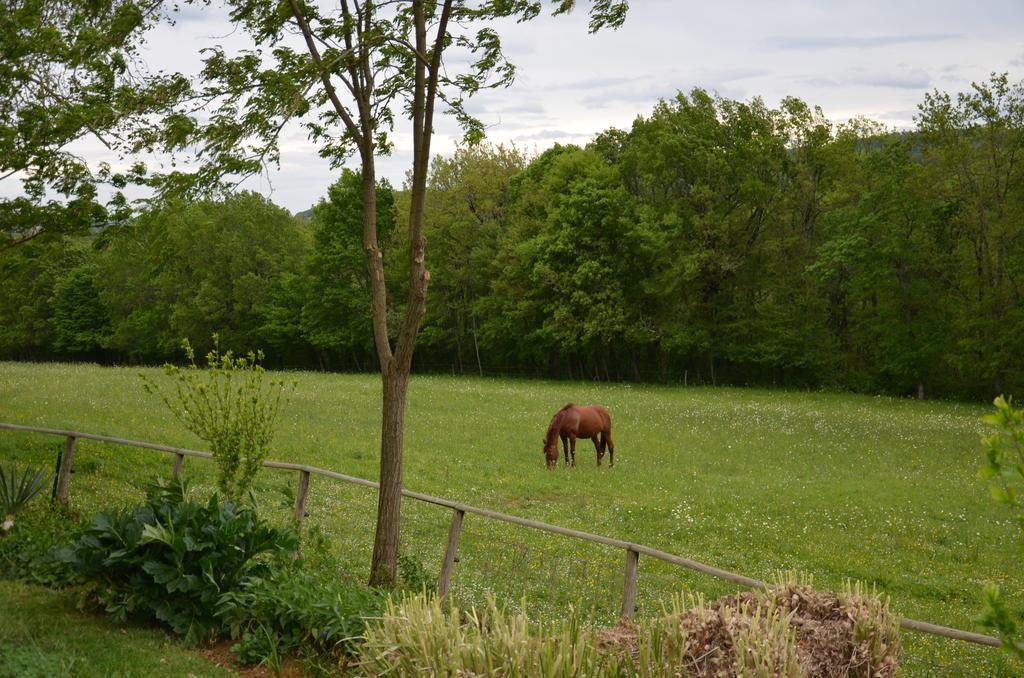 Cénac-et-Saint-Julien La Gueriniere Bed & Breakfast エクステリア 写真