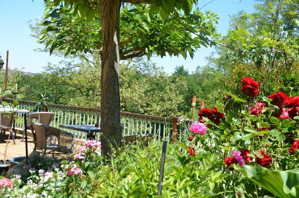 Cénac-et-Saint-Julien La Gueriniere Bed & Breakfast エクステリア 写真
