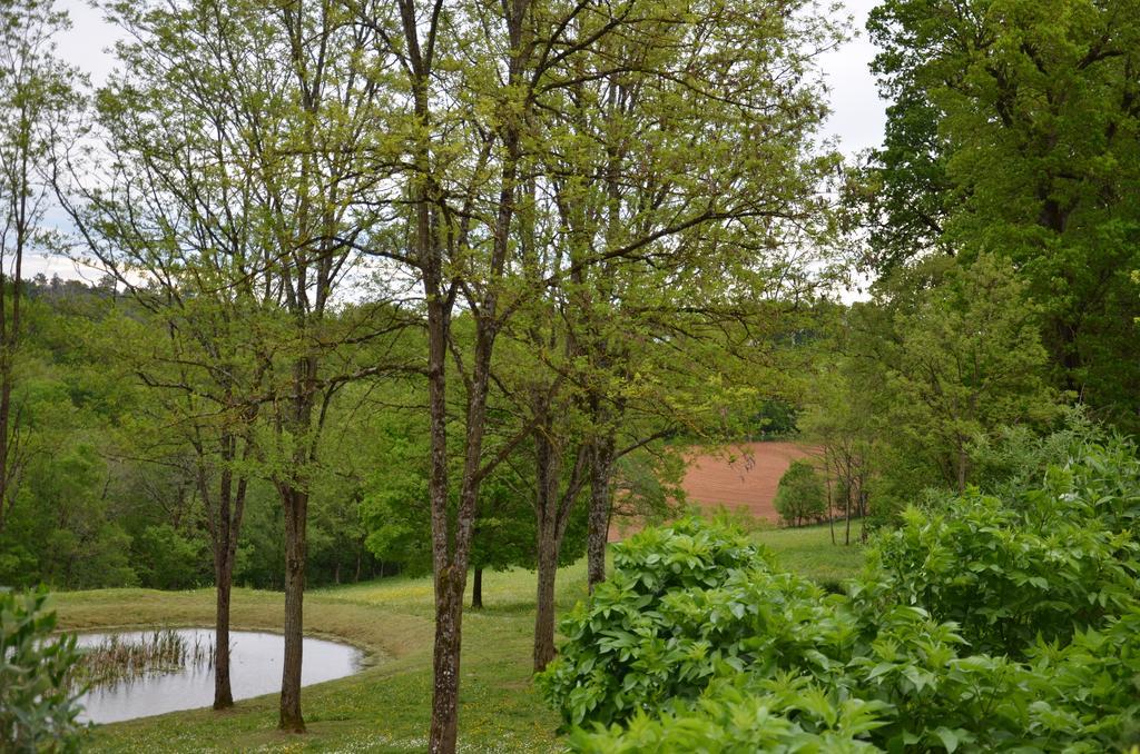 Cénac-et-Saint-Julien La Gueriniere Bed & Breakfast エクステリア 写真