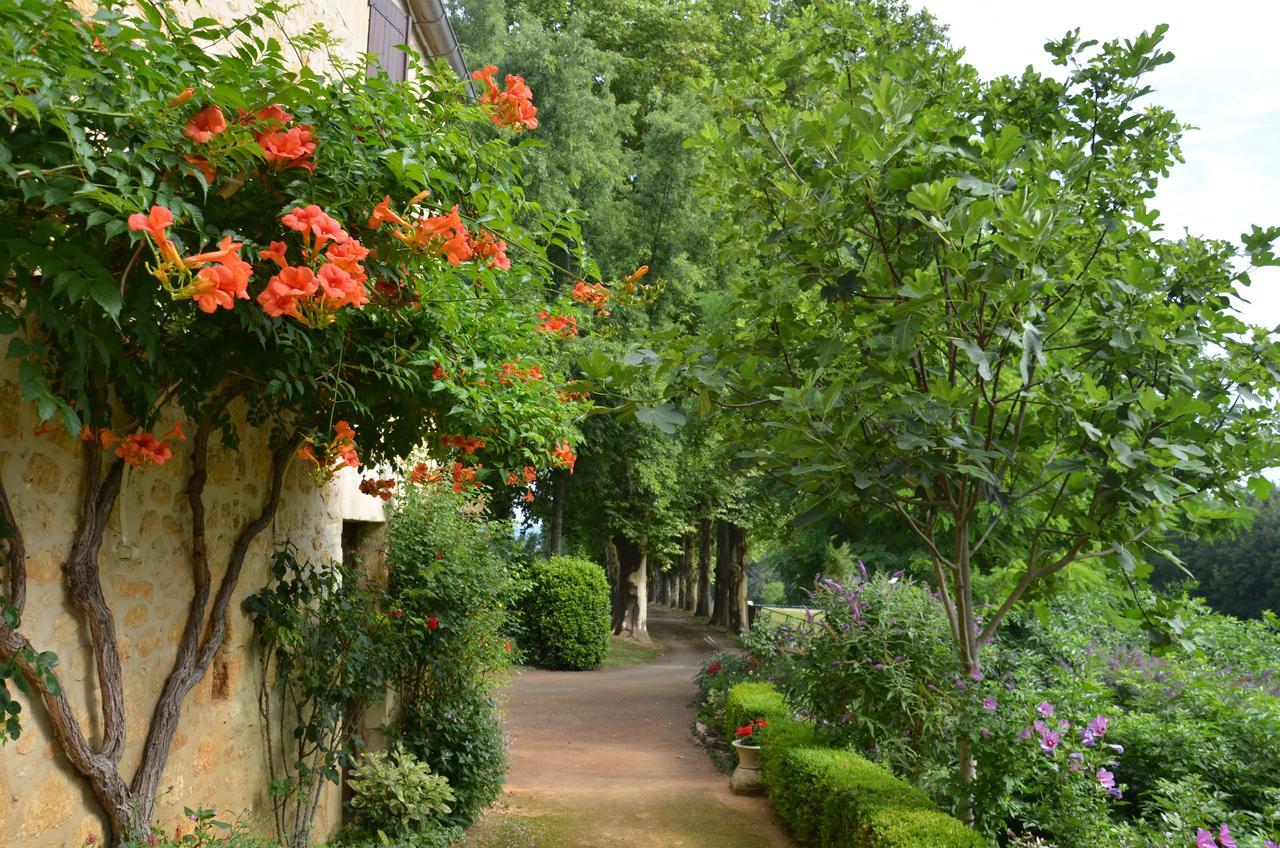Cénac-et-Saint-Julien La Gueriniere Bed & Breakfast エクステリア 写真