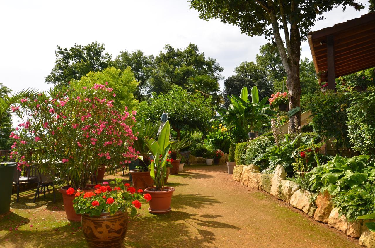 Cénac-et-Saint-Julien La Gueriniere Bed & Breakfast エクステリア 写真