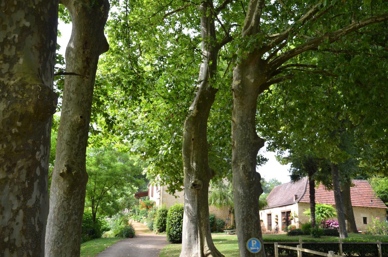 Cénac-et-Saint-Julien La Gueriniere Bed & Breakfast エクステリア 写真